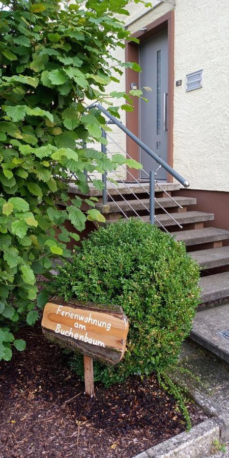 Ferienwohnung Am Buchenbaum 诺伊里德 外观 照片