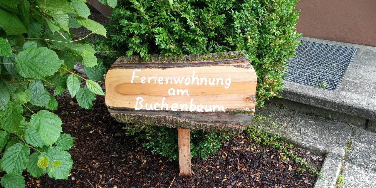 Ferienwohnung Am Buchenbaum 诺伊里德 外观 照片